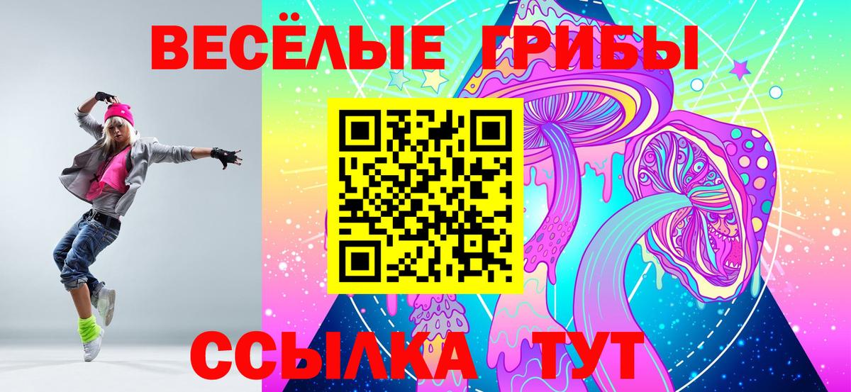 Галлюциногенные грибы Psilocybe Братск