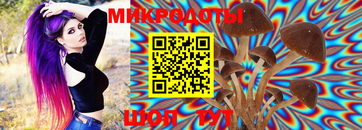 Галлюциногенные грибы GOLDEN TEACHER  Вход с VPN  Братск 